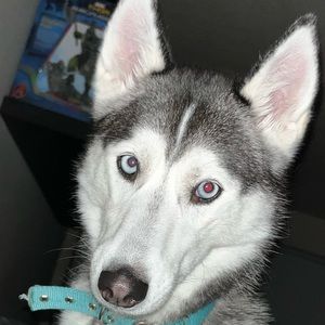 Meet your Posher, Aaron